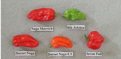 8- Worlds Hottest Pepper, Rare Chili Pepper Seeds