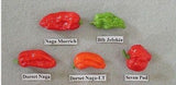 8- Worlds Hottest Pepper, Rare Chili Pepper Seeds