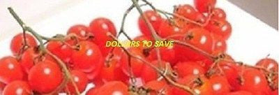 50 PCS Rare Netherland Grape Tomatoes Seeds