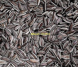 75- Pcs Sunflower Seeds Style 17
