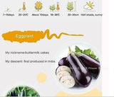 1pack 30+ Seeds Organic Vegetable Paunch Guinea Squash Aubergine Eggplant Seeds