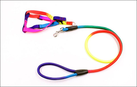 1- Nylon Rainbow Dog Harness And Leash 120cm Long